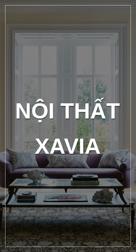 noi-that-xavia-banner