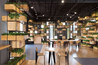 cafe-sach