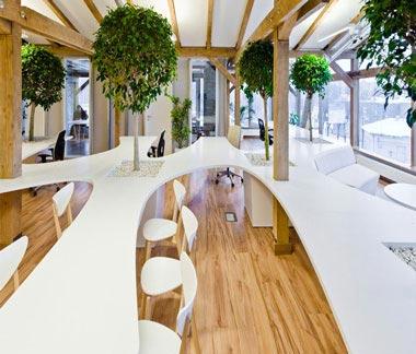 phong-cach-noi-that-van-phong-eco